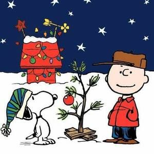 Meet your Posher, Patty